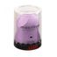 ej1-33-lilas